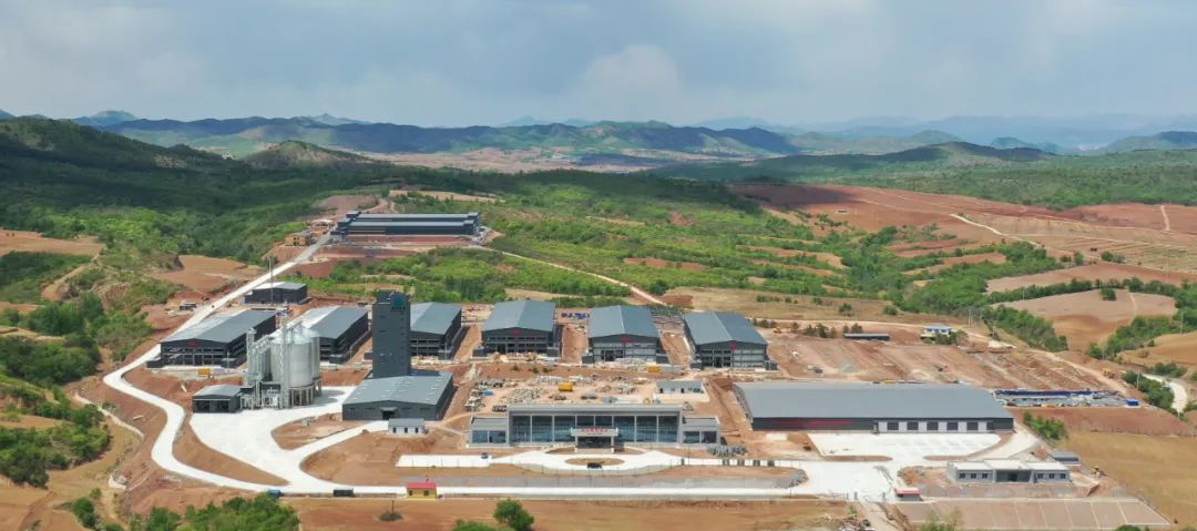 韓偉集團(tuán)旗下朝陽韓偉蛋業(yè)300萬羽蛋雞項(xiàng)目建成投產(chǎn)